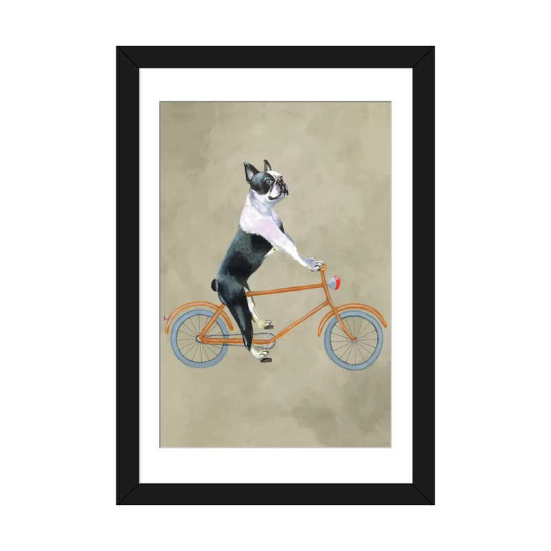 « boston terrier on bicycle », reproduction d’art sur toile, H 24 po x l 16 po x P 1 po, Papier avec cadre noir, Blanc