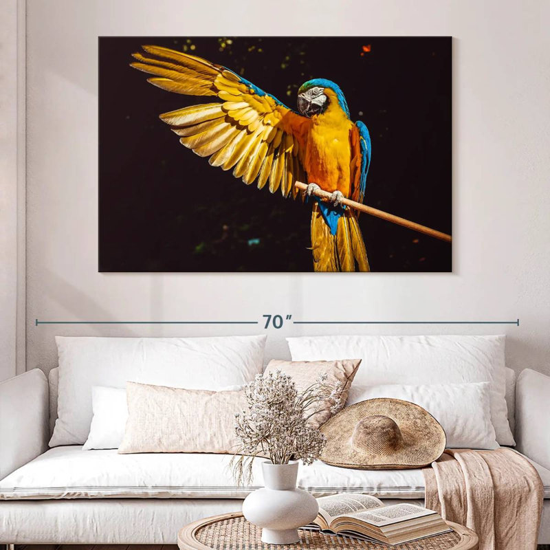 Brampt Blue Gold Macaw, 34" H x 51" W