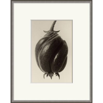Forms Of Nature 10 Print