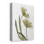 «Xray Tulip I», impression sur toile tendue-330840084