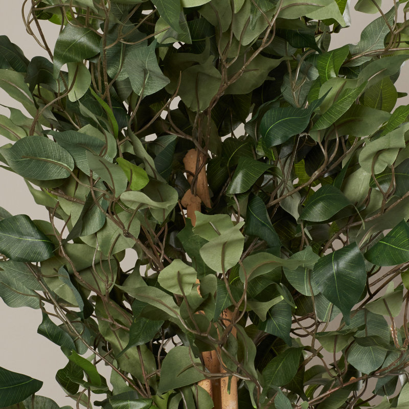 Faux Ficus Tree in Planter, 72" H x 35" W x 35" D