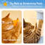 Arbre à chat 102 "Tenley-1236906262