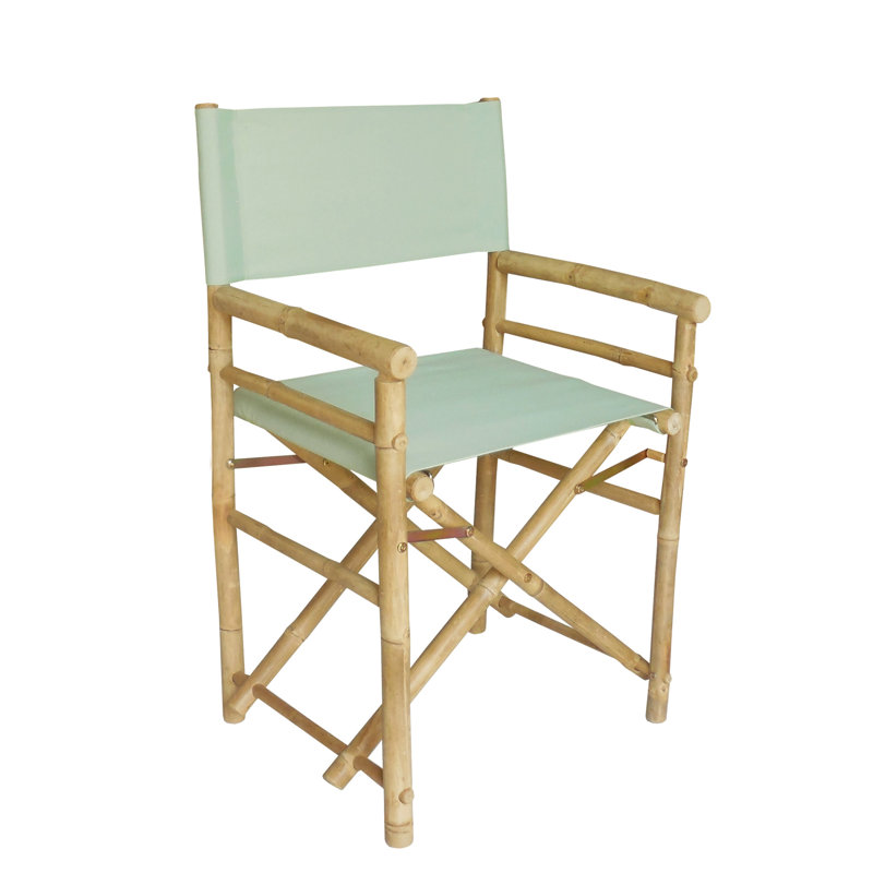 Laseter Folding Director Chair, Celadon