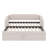 Daybed With Pop Up Trundle, Twin Size Upholstered In Velvet-1904828532