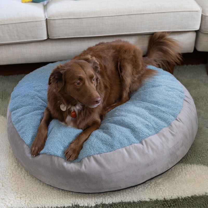 Robbi Round Dog Bed for Small, Medium & Large Dogs – Plush Pet Bed for All Breeds, Medium (9.5" H x 36" W x 36" D), Blue/Gray