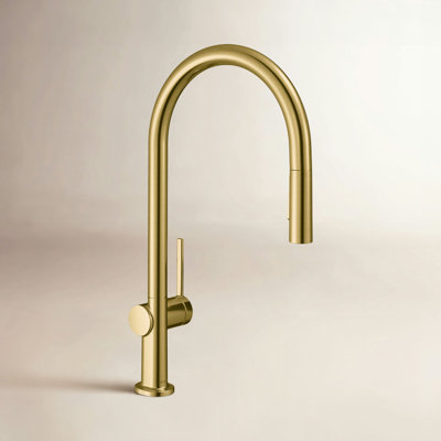 Hansgrohe Talis N Higharc Pull-Down Faucet