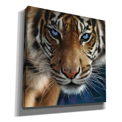Ebern Designs 'Blue Eyes' By Collin Bogle, Canvas Wall Art