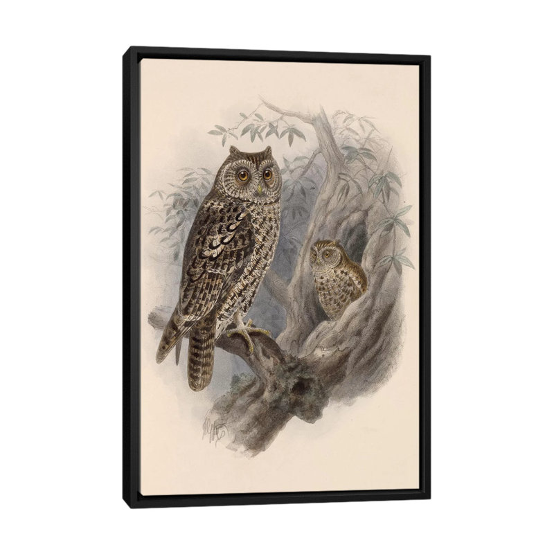 «Tree Owls, 1902», impression sur toile, H 26 po x l 18 po x P 1,5 po, Toile avec cadre noir, Pas de tapis