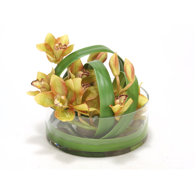 Orchidées cymbidium vertes Water Look dans un vase en verre