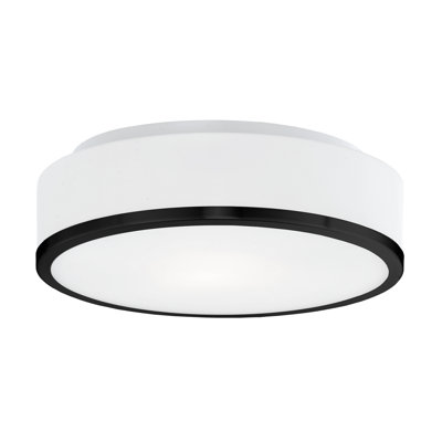 Charlie 2 - Light Flush Mount