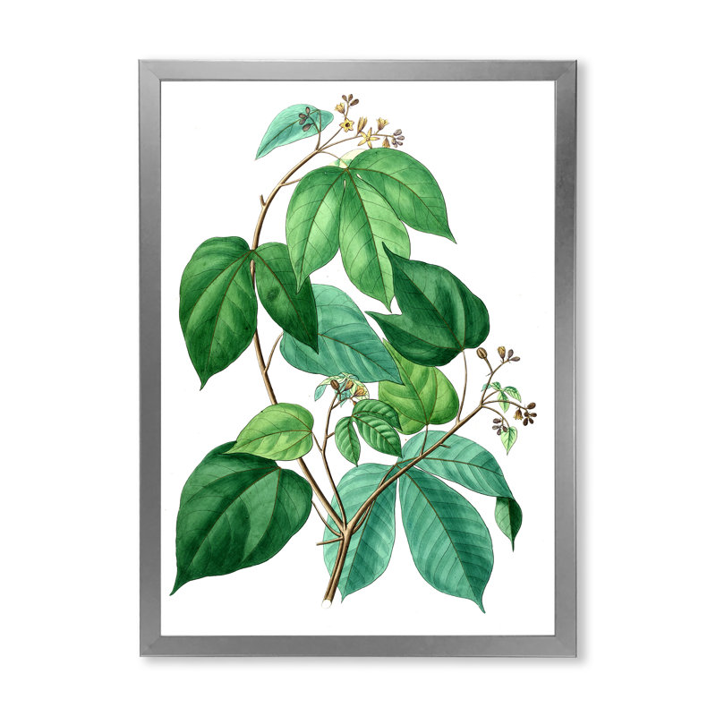 Feuilles de plantes III - Reproduction de photo sur toile, H 20 po x l 12 po x P 1po, Argent