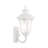 Alechandre Wall Light