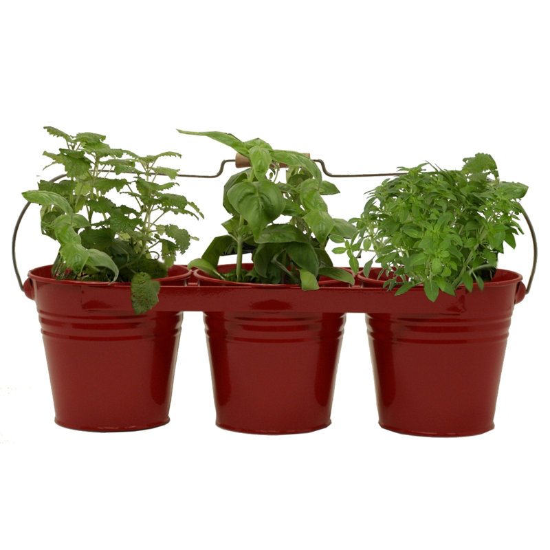 Kieninger Metal Pot Planter, Red