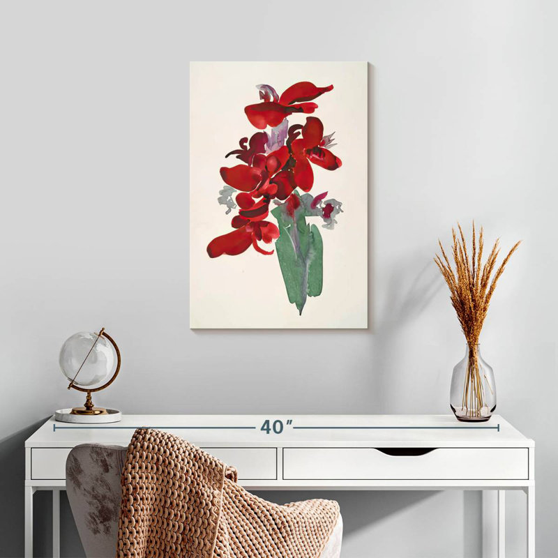 Harnek Red Canna 1915, H 24 po x l 16 po