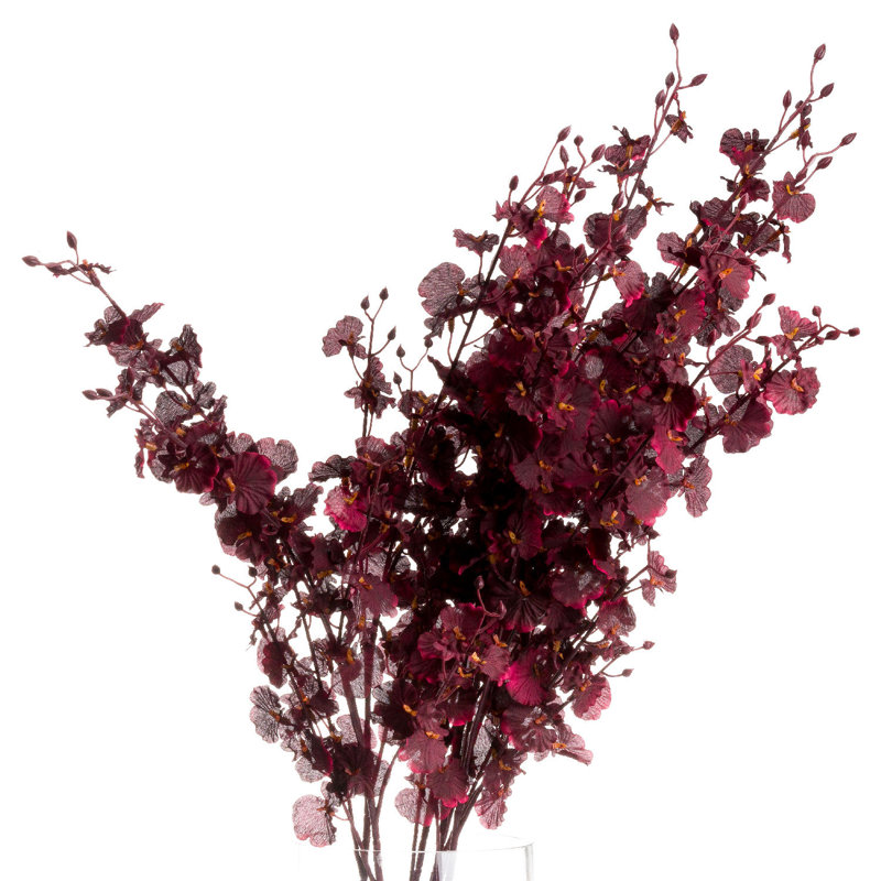 Anastasija Arrangement
