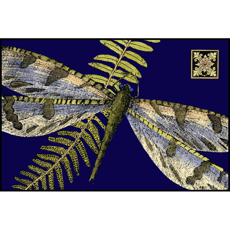 Mini Shimmering Dragonfly I (ZHC) by Vision Studio - Wrapped Canvas Art Prints, 61cm H x 91cm W