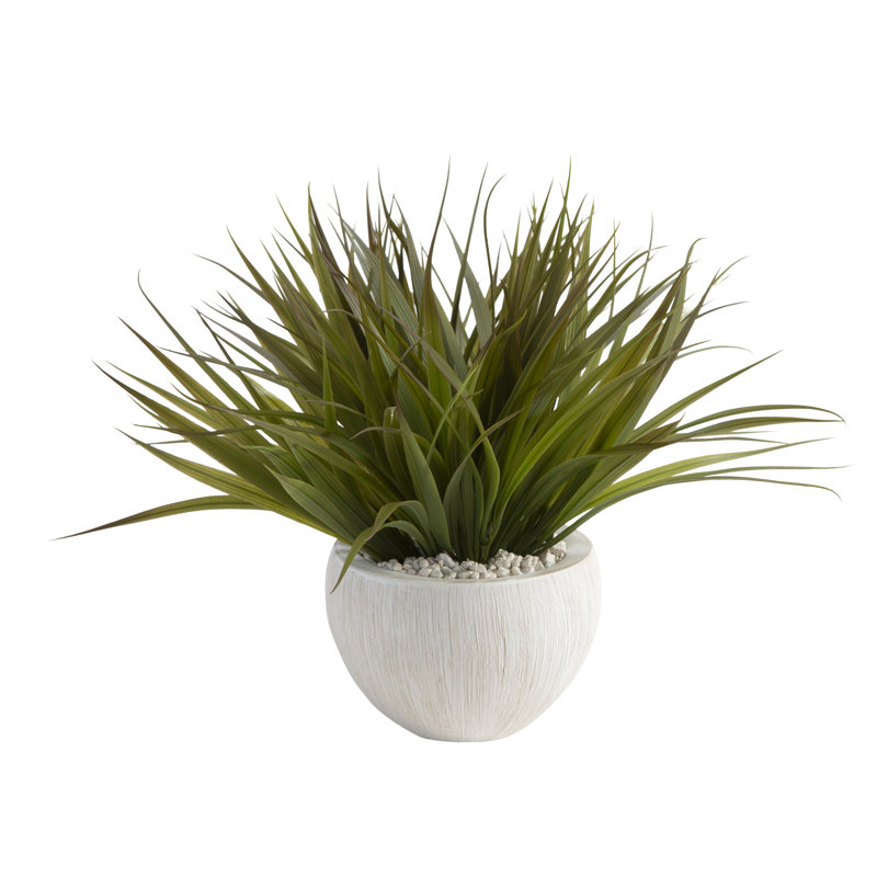 Herbe sauvage dans un bol blanc, H 15 po x l 15 po x P 15 po