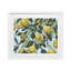 «Summer Citrus Tree», reproduction sous verre encadrée, design par June Erica Vess-2084961483-2084961527