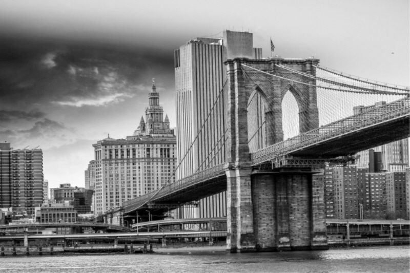 Concrete Jungle IV Print by Sofia Fox, Outdoor, 24" H x 35" W