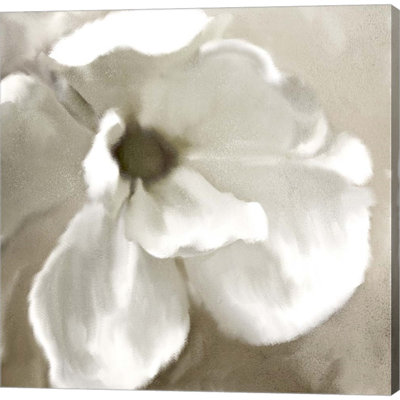 Plants & Flowers Wall Decor on Canvas