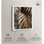 Arbre ombré, ombre, palmier, impression par Art Remedy-118167499-118167505