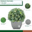 Arrangement d'hortensias en tissu synthétique bleu sarcelle en pot-1553681565-1488260805