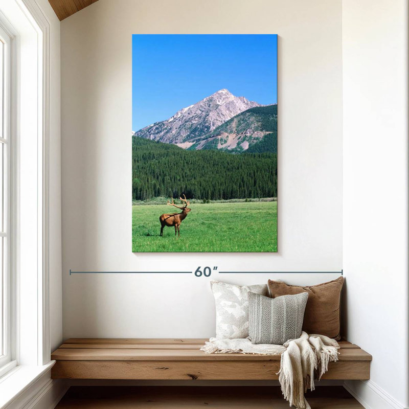 Brampt Coyote Valley Elk, 48" H x 32" W