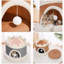 Nid de chat pour chien-1656594772-1656594775