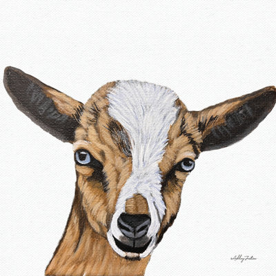Goat III by Ashley Justice