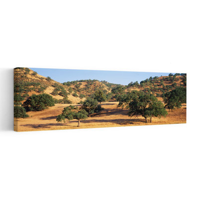 Chêne sur une colline, Stanislaus County, Californie, États-Unis, paysage contemporain abstrait, art mural