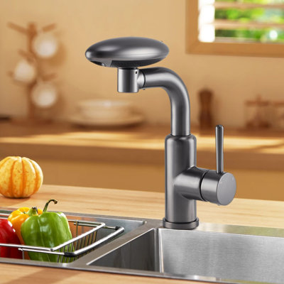 Metro Lane Kitchen Faucet Side Spray