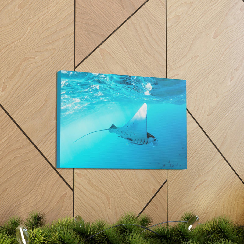 No Frame Print on Canvas, 30.48cm H x 40.64cm W