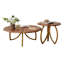 Ensemble de tables basses Modern