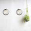 Niki LED Wall/Ceiling Light by Ernesto Gismondi-97704839