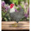 Statue de poule Emil