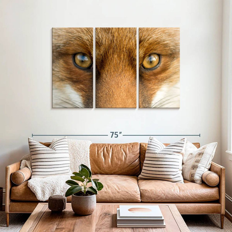 Renard aux yeux ambré Brampt, H 36 po x l 57 po