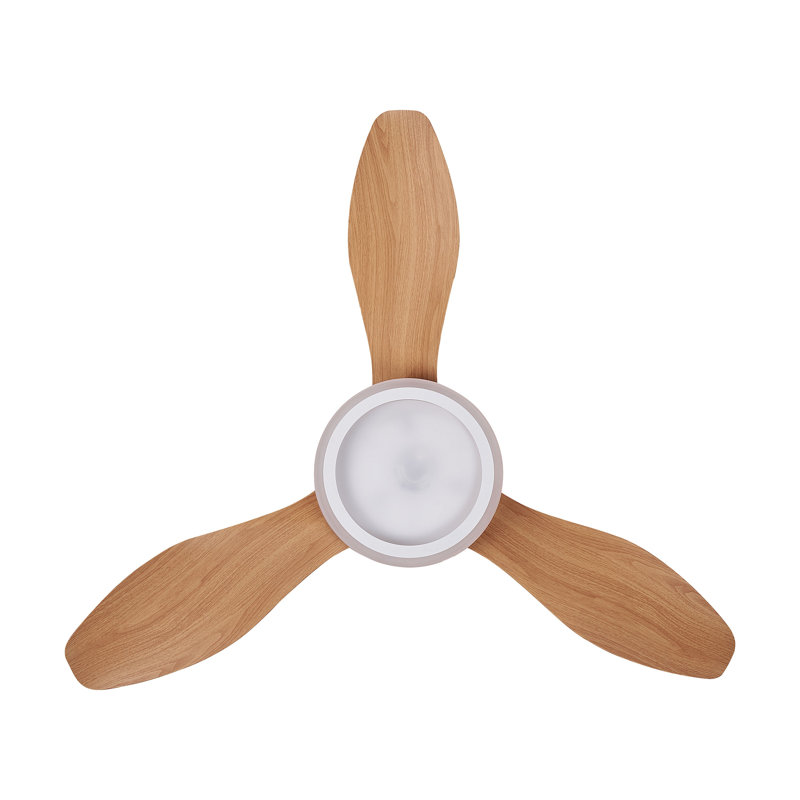 Asman 108cm Ceiling Fan with LED Lights