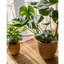 Faux Grass-Woven Cement Planter-1451856402