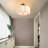 Flush Mount Ceiling Light