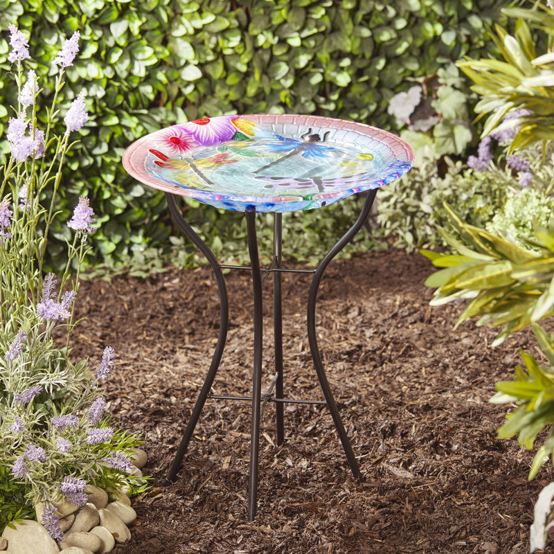 Dotan Glass Birdbath