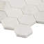Alaska White Penny Round Polished Marble Tile