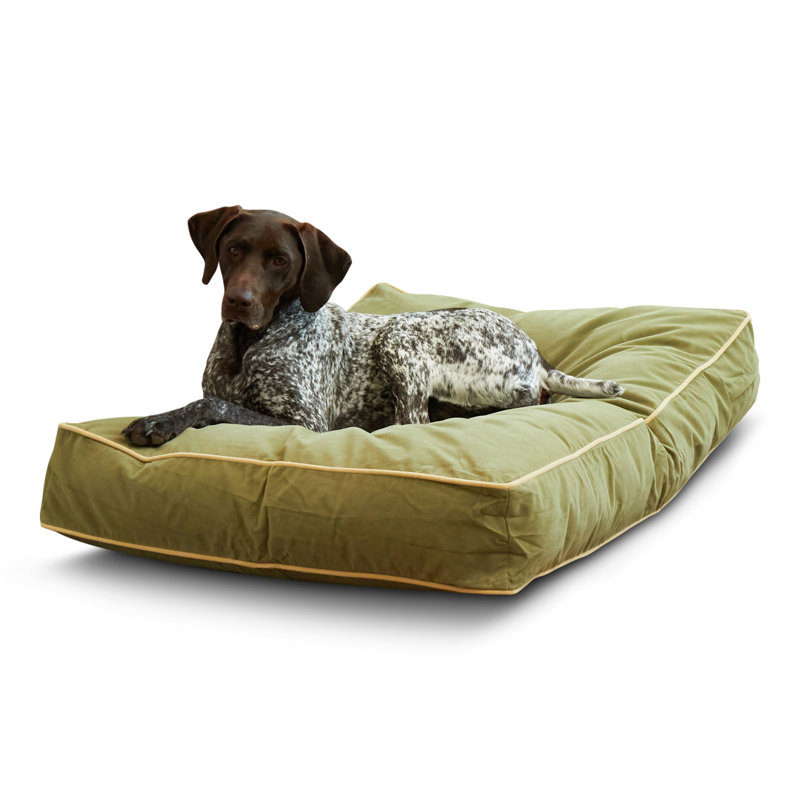 Lit pour chien Olivarez Classic, Moyen (L 42 po x l 30 po x H 6 po), Moss