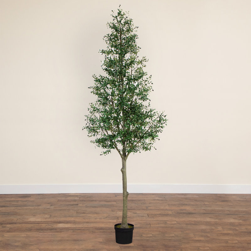 13 pi Olive artificielle