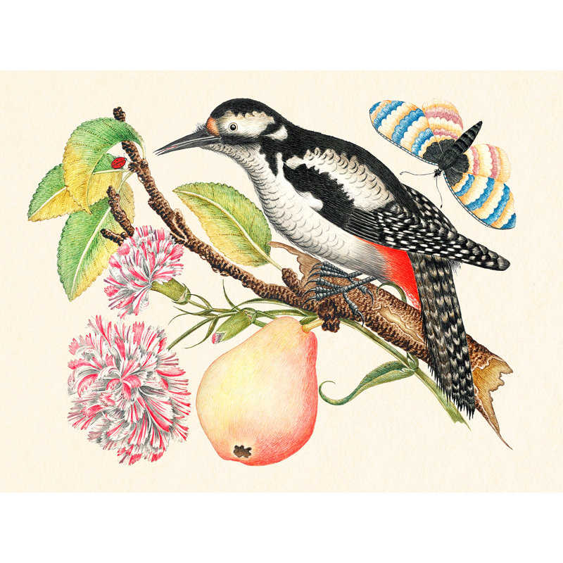A Bird Perched On A Branch I by Anonymous - Wrapped Canvas Art Prints, 90cm H x 120cm W x 4cm D