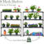Plant Stand - Set of 12