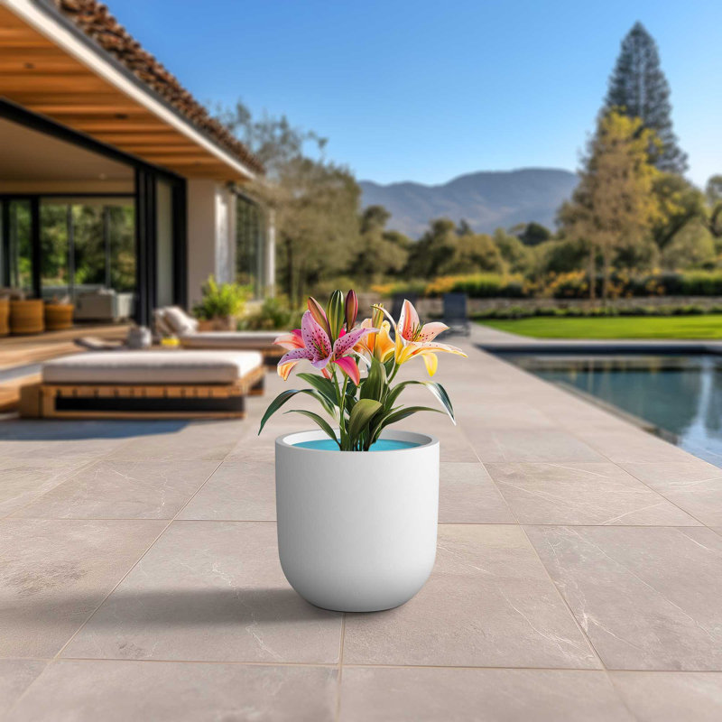 Large (Upgraded Interior) Concrete Round Planter / Pot With Drainage Holes, Crisp White (Upgraded Interior)