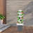 25-Pod Hydroponic Mechanism Hydroponic Growing Kit-394507899