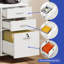 Buffet Jouvence-1908166979