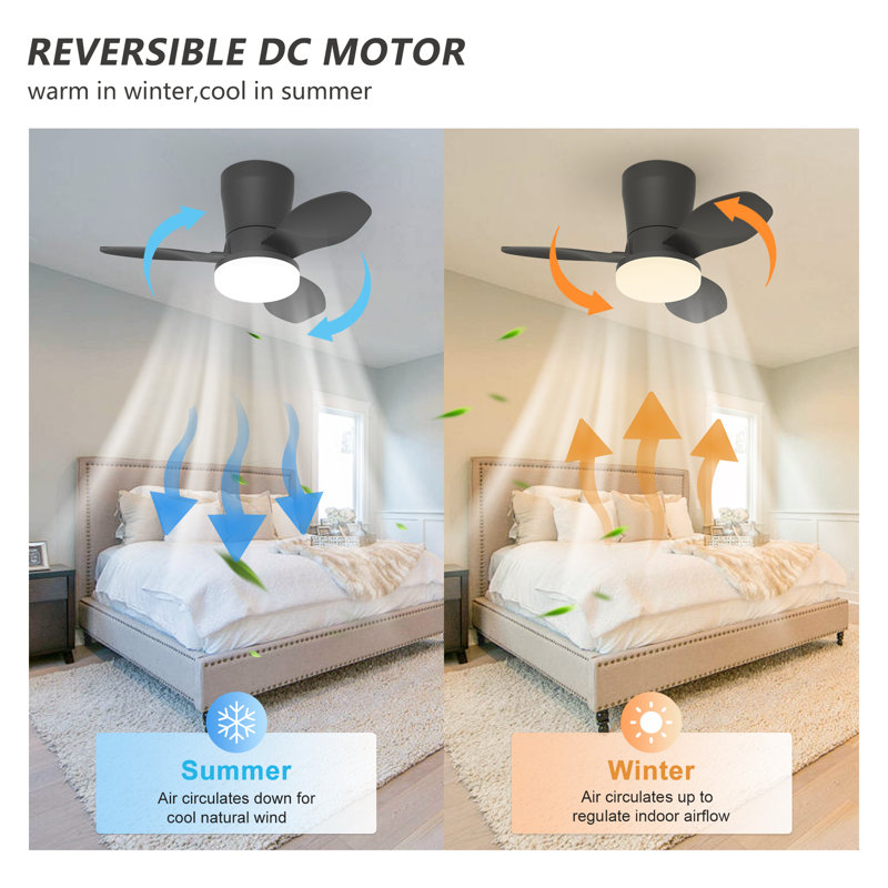 65cm Ceiling Fan with LED Lights, Black, Black