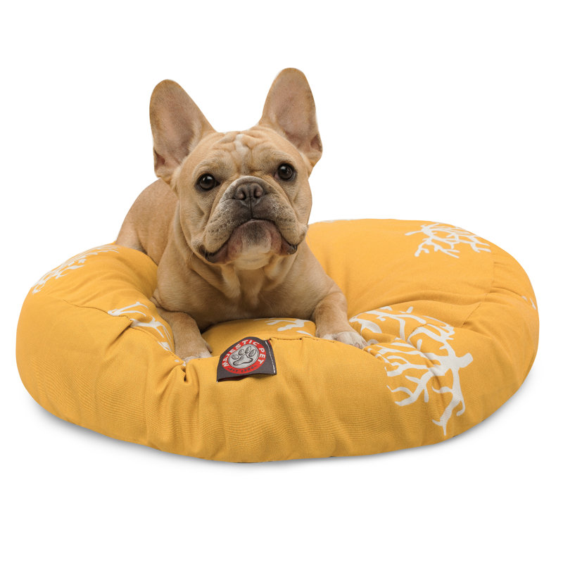 Coussin Majestic Pet, Jaune, Grand (l 42 po x P 42 po x H 5 po)
